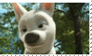 The Dog Face