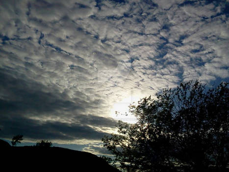 In The Blind: Look At The Sky...It's Just Amazing