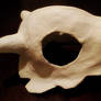 Cubone skull helmet