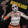 Borderlands Psycho