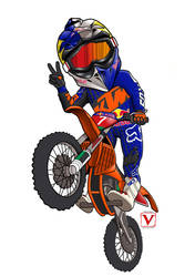 Mascotte Motocross