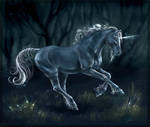 One more unicorn by SnowSkadi