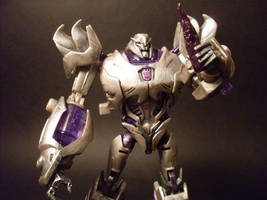 Custom TFP Megatron