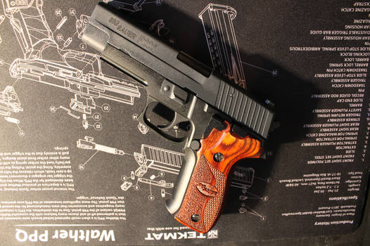 Sig Sauer p226