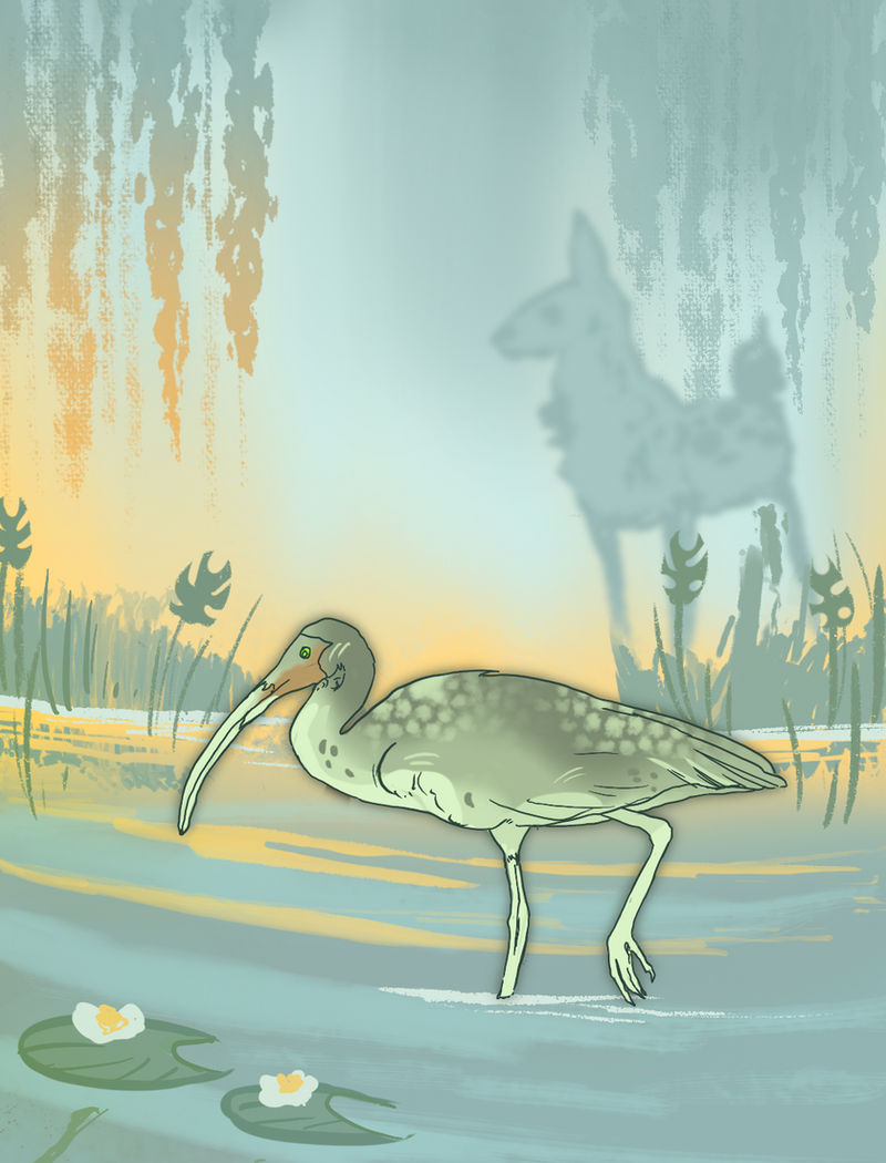 Among The Reeds among the willows and reeds by the7eventhrider on DeviantArt