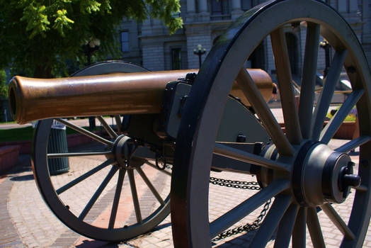 Cannon