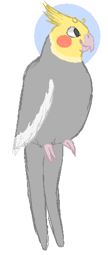 Cockatiel