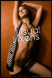 VisualVixens.com