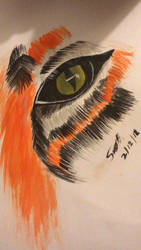 Eye of the tiger