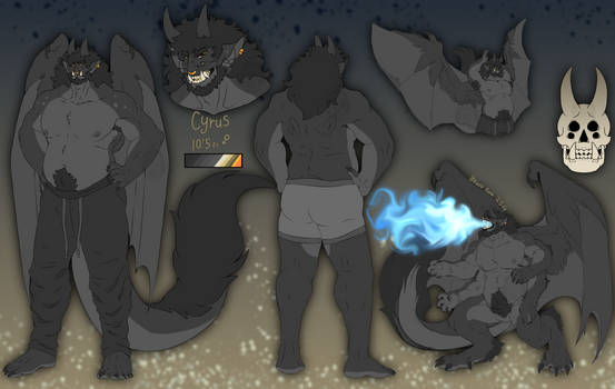 Cyrus reference sheet!