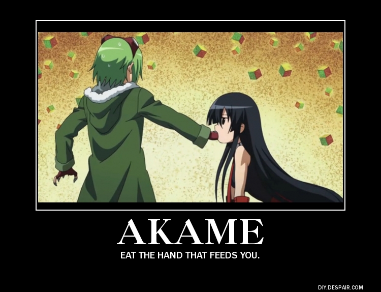 Akame ga Demotivational