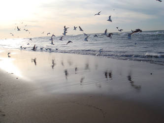 Beach Katwijk