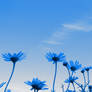 Into the sky - blue