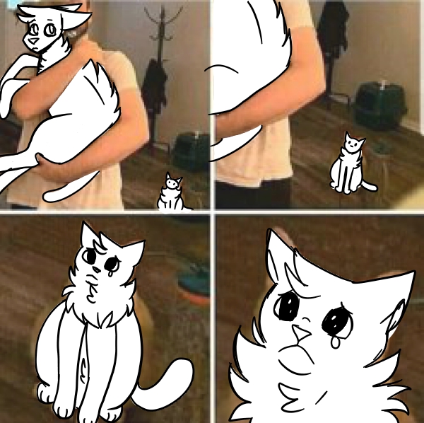 OPEN 20 point cat meme ych