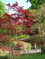 Pagoda Japan