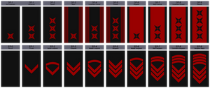 Ranks of the Advanced Weapons Research Section by kokoda39 on DeviantArt