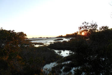 Sunset in the marsh