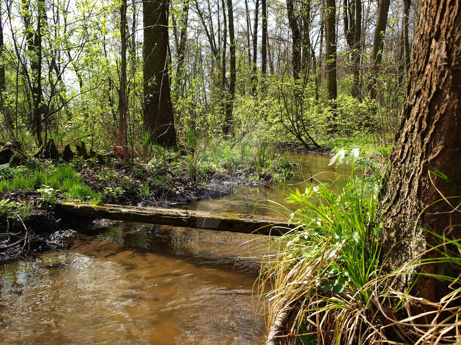 Small bridge