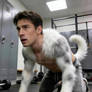 Man's best friend (TF Story)