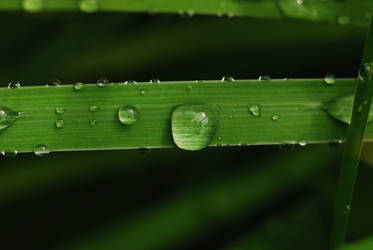 raindrops traffic