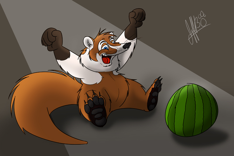 Coati Like Melon