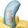 banana baby