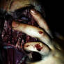 gore