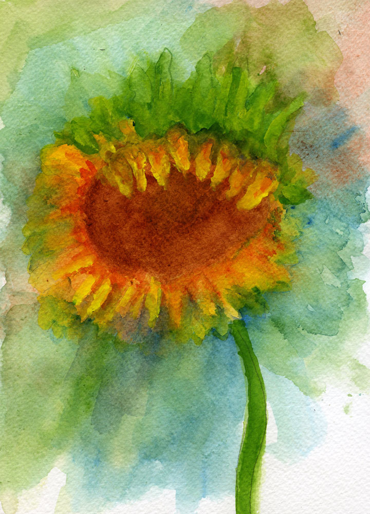 Sunflower