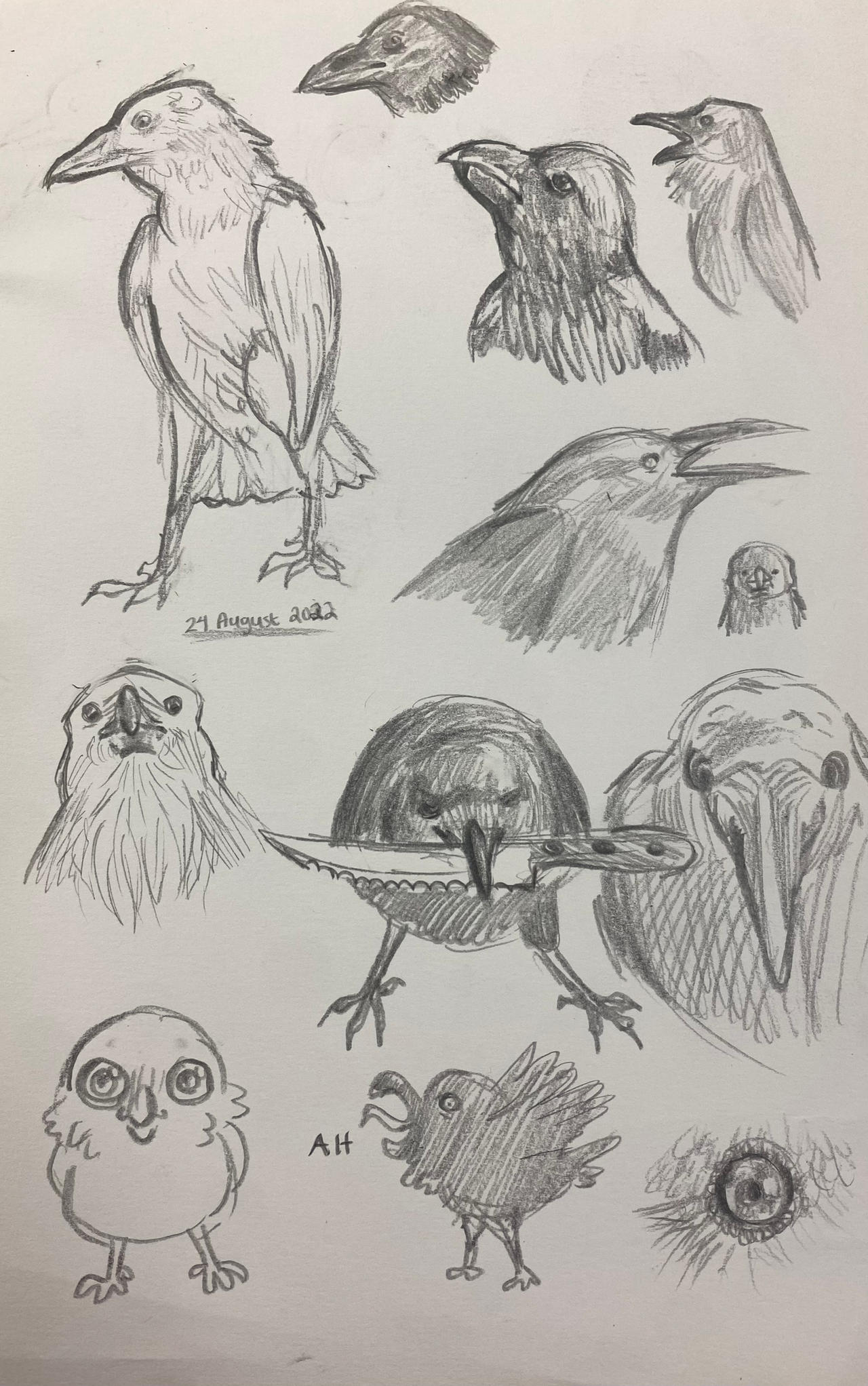 Birds Deviantart Birds by BubblingBurnout on DeviantArt