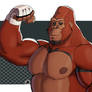 New gorilla just dropped
