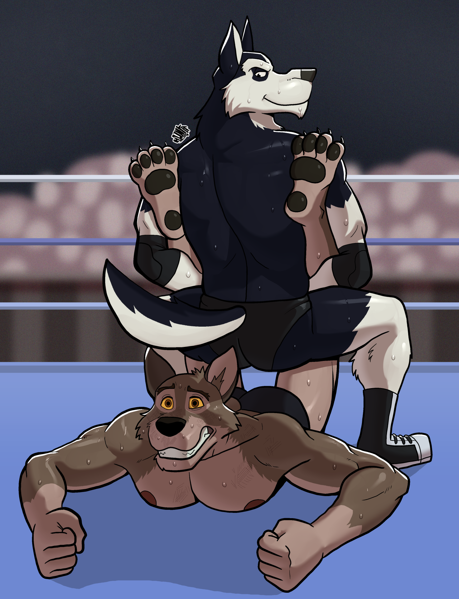 ComW9 Husky Hold