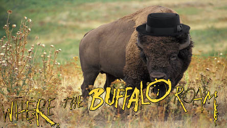 The Film Bastard reviews Where the Buffalo Roam