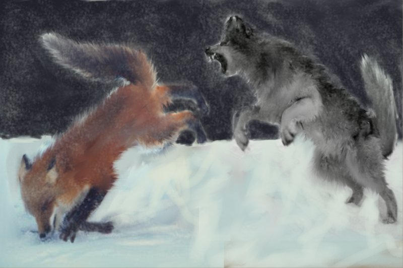 Лисы и волки в природе. Лисы и волки. Конкуренция Волков и Лис.