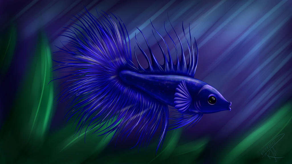 Blue Fish Computer Background Blue fish wallpaper by RabbitMT on DeviantArt