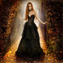 The prize of beauty