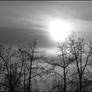 Black and White Sunset