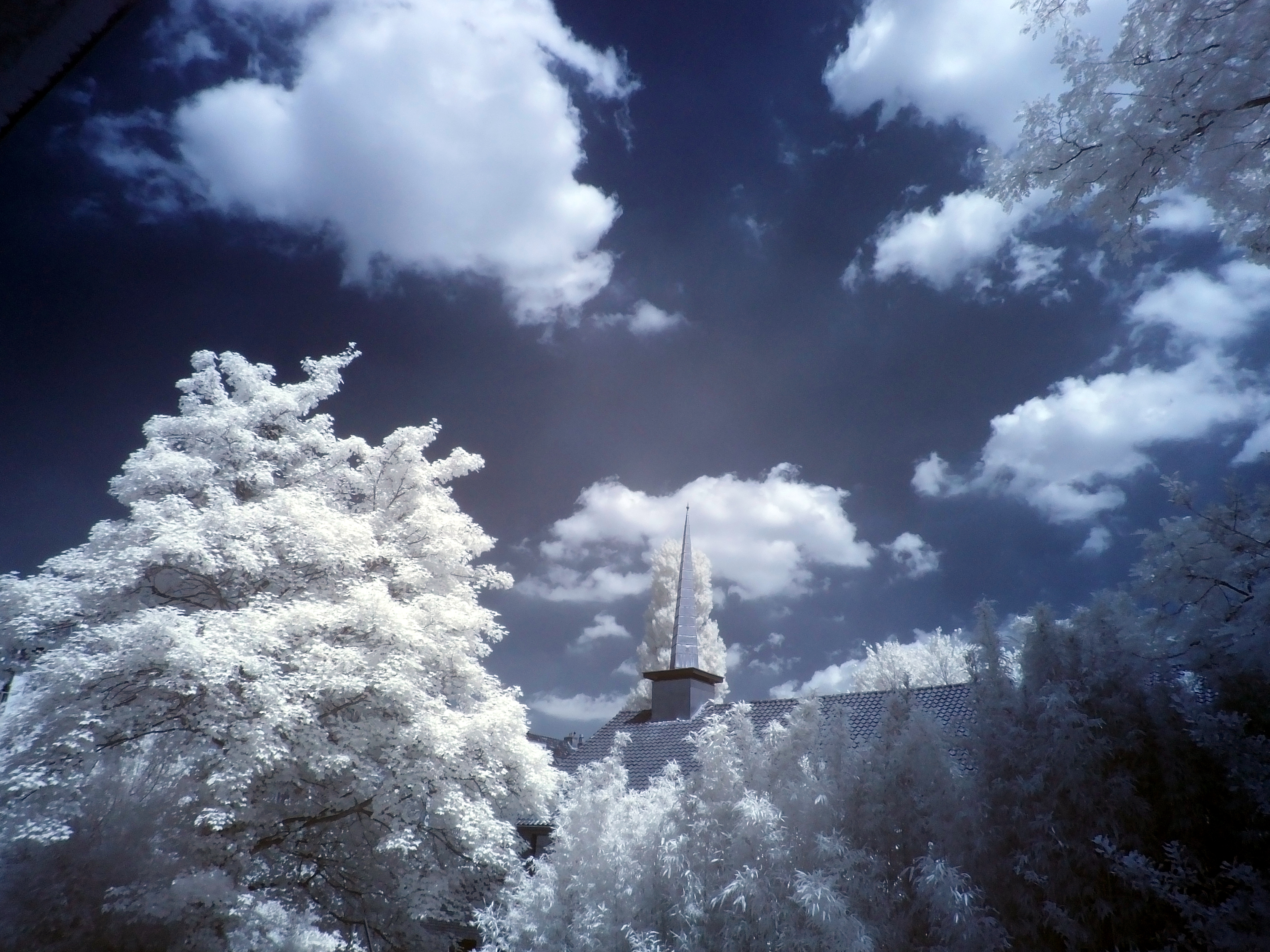 IR - Tower and tree