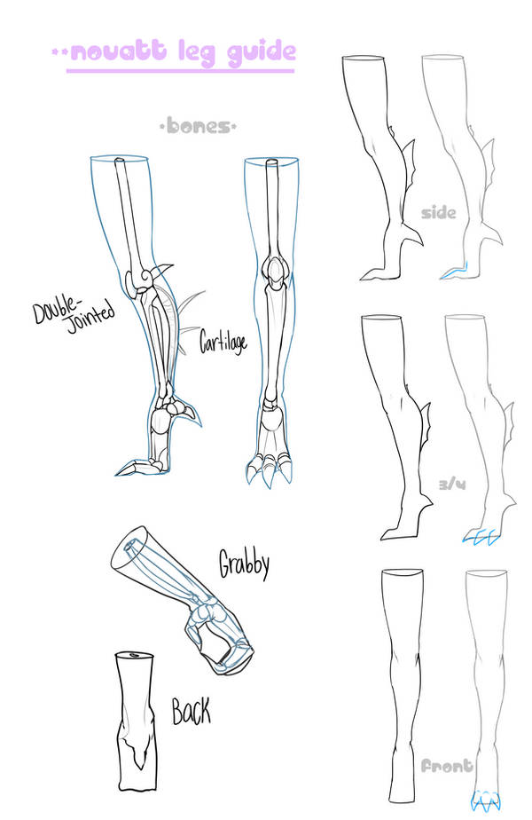 _nv__novatt_leg_anatomy_by_0chin_dbv0175