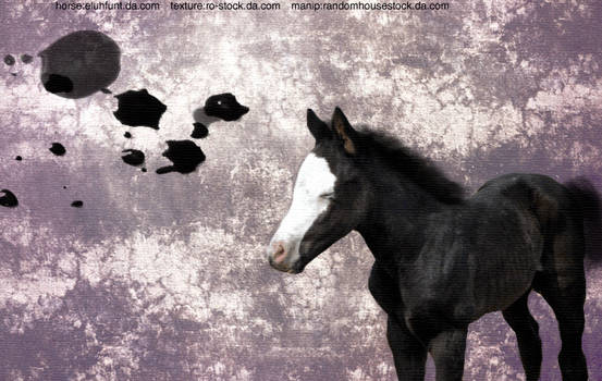 Foal Texture