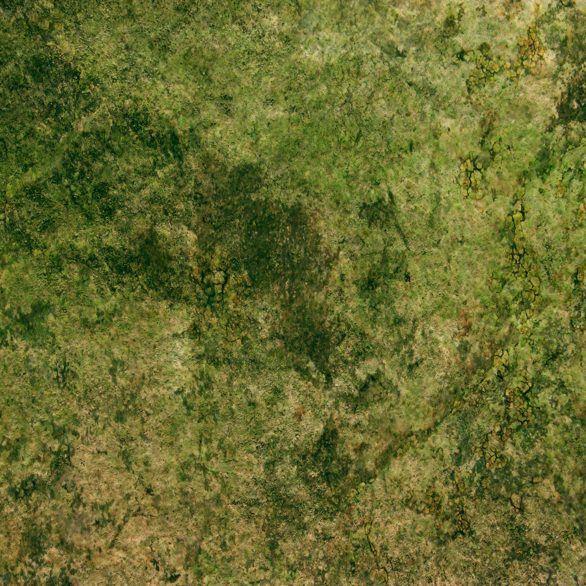 Habitable Planet Texture By Nazo The Unsolvable On Deviantart