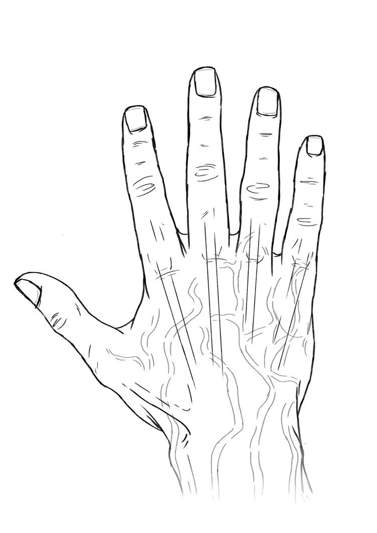 Quick hand lineart by LEDjellybean on DeviantArt