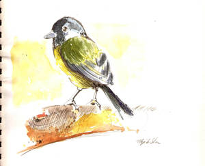 PajaroAcuarela Watercolor Bird