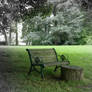 The old bench