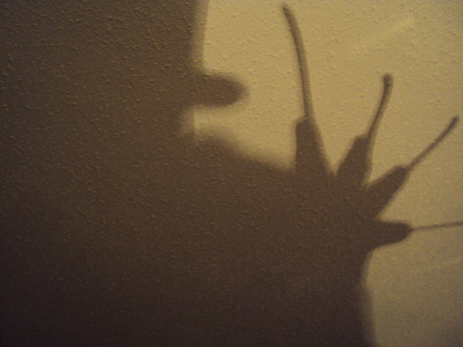 FREDDY KRUEGER'S SHADOW STALKS