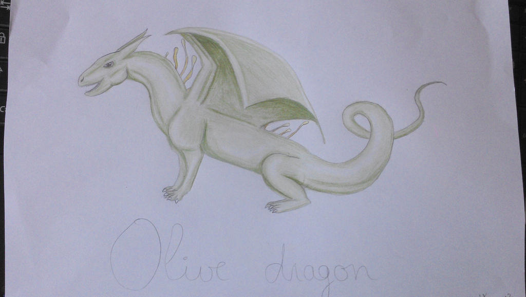 Olive dragon
