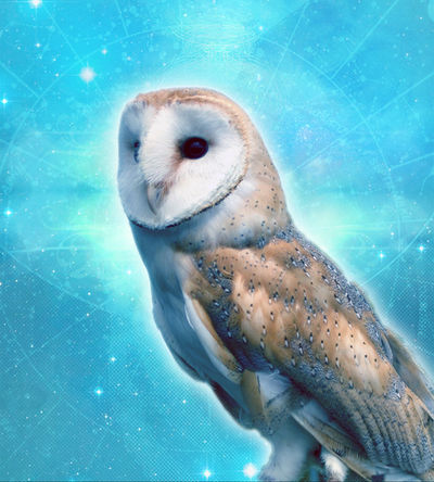 Animal Alignment by theASTRARIUM on DeviantArt