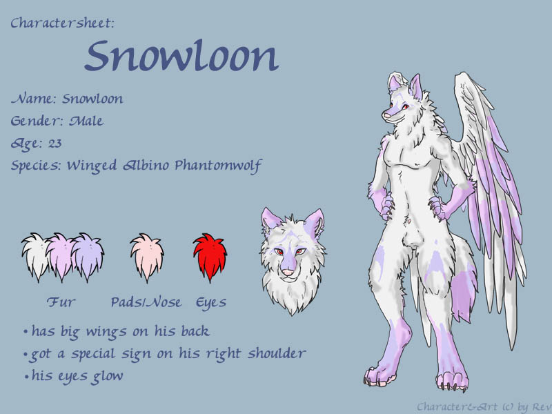 Charactersheet Snowloon