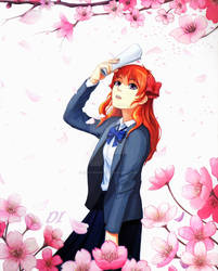 Sakura Chiyo