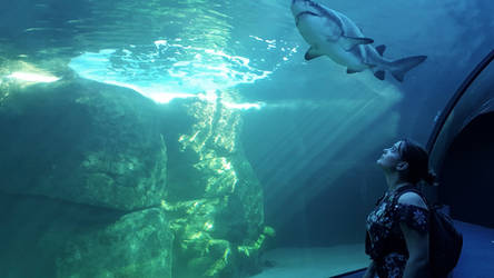 Cape Town - two oceans aquarium