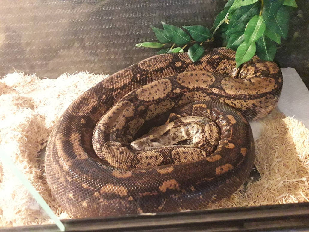 59301124_349551989242219_797799094590583